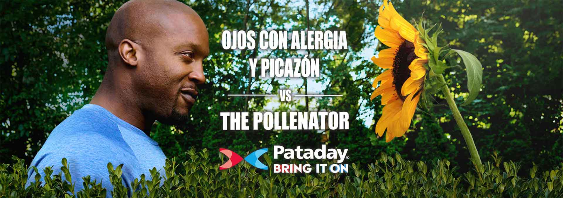 Un hombre con una camisa azul de pie, mirando fijamente hacia un gran girasol amarillo.